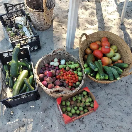 La Casa Di Grecia * Posada (Sardinia)